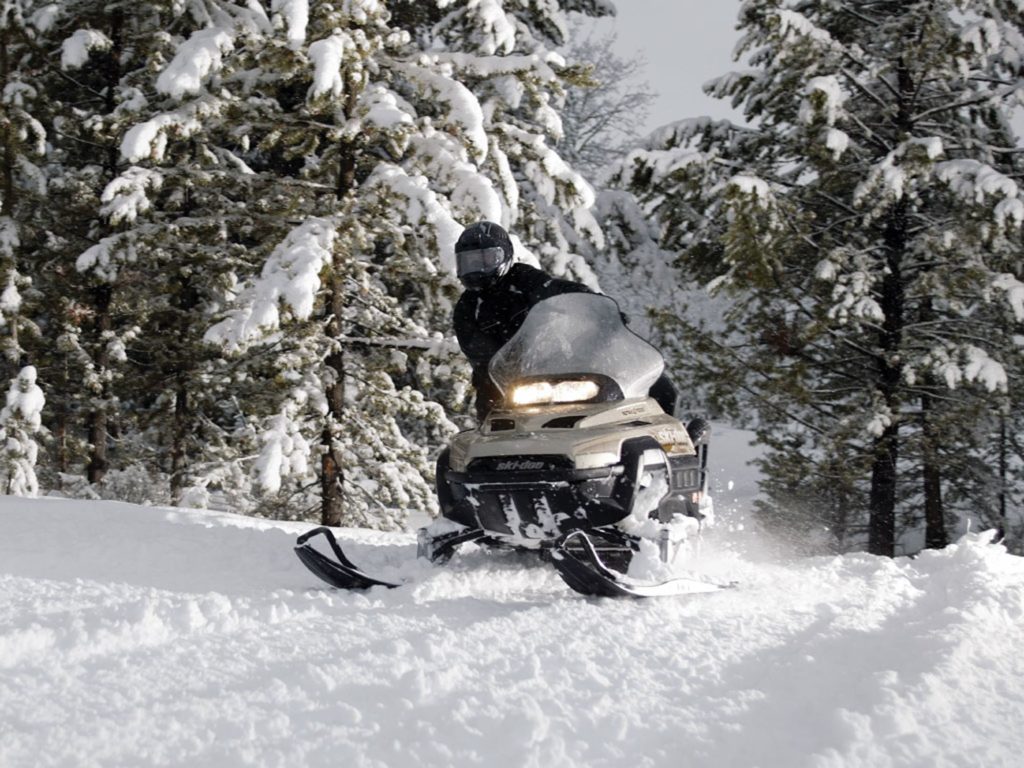 Snowmobiler driving through the woods