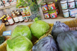 Cabbage for sale