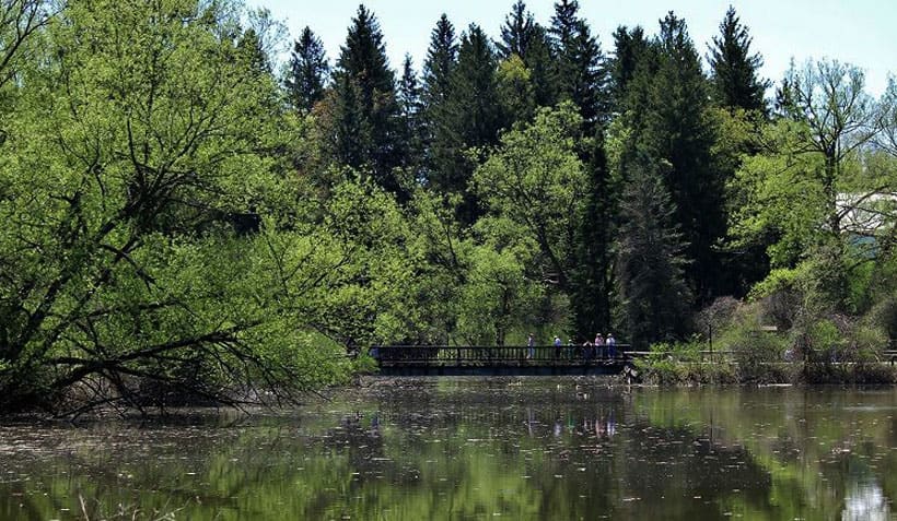 Distant view of a footbridge over water