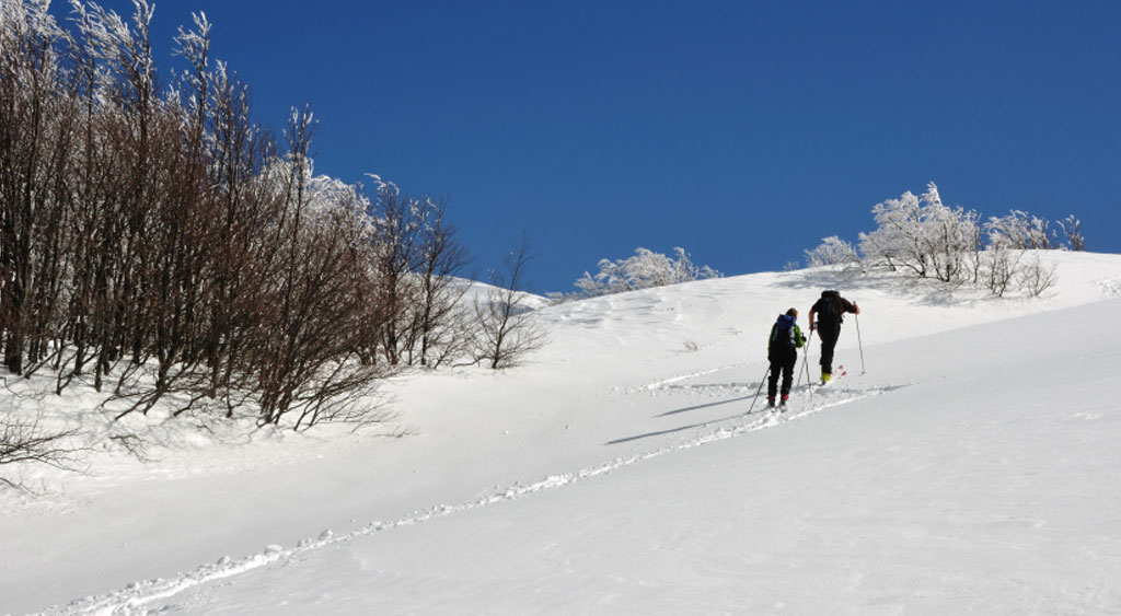 People cross county skiing uphill