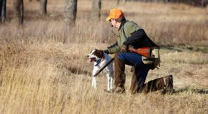 Man hunting with his dog