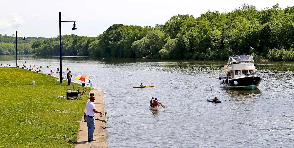 People enjoying water sports