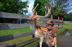 Boy with a deer at Fort Rickey