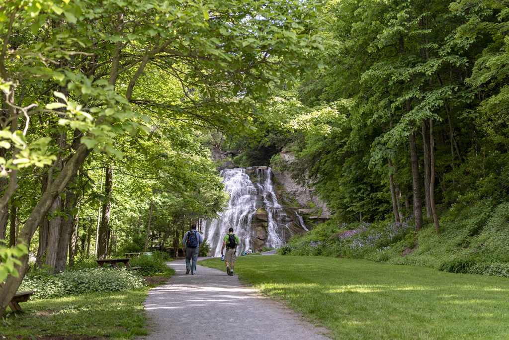 upstate experience waterfalls