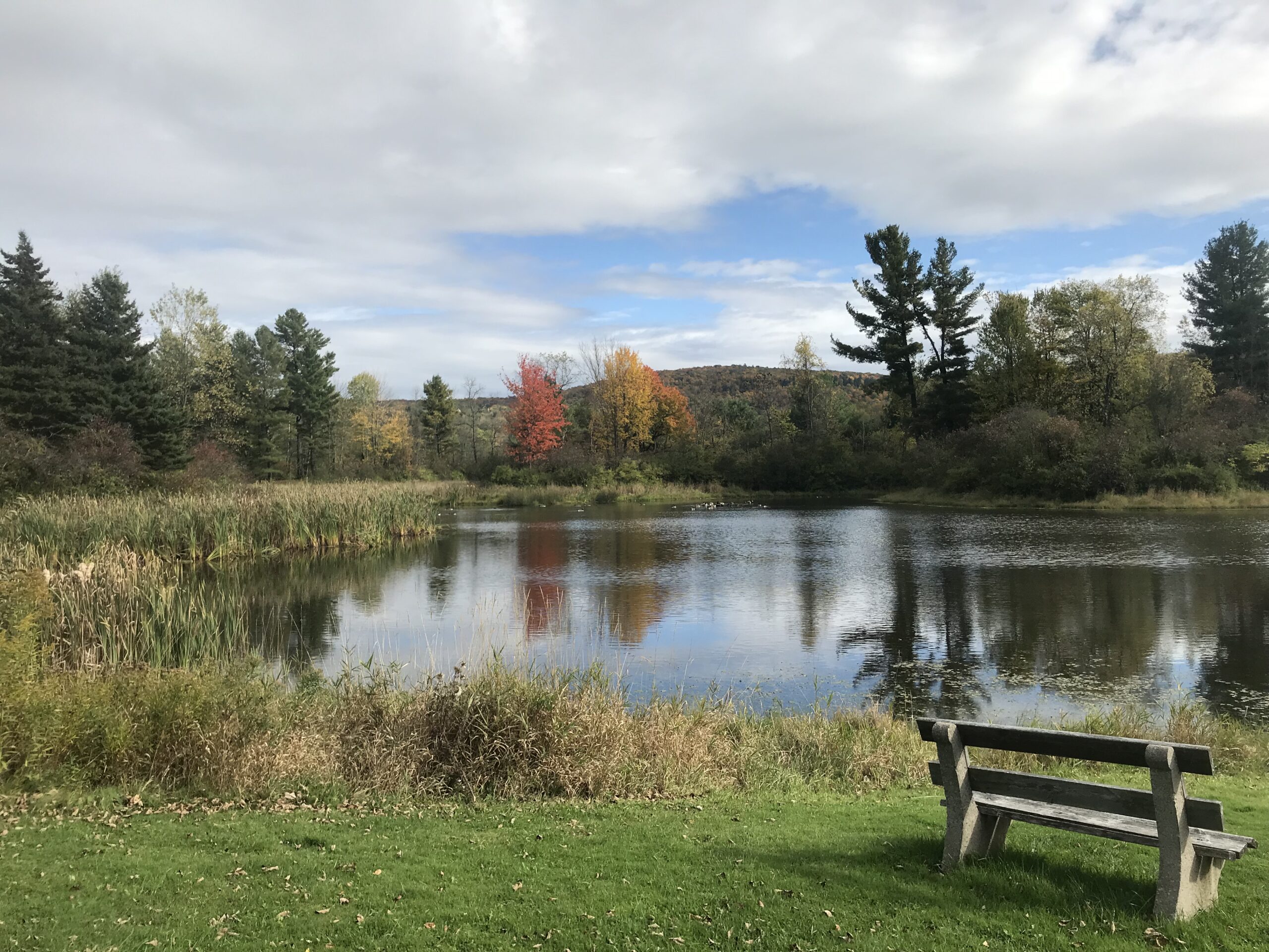 Glimmerglass State Park