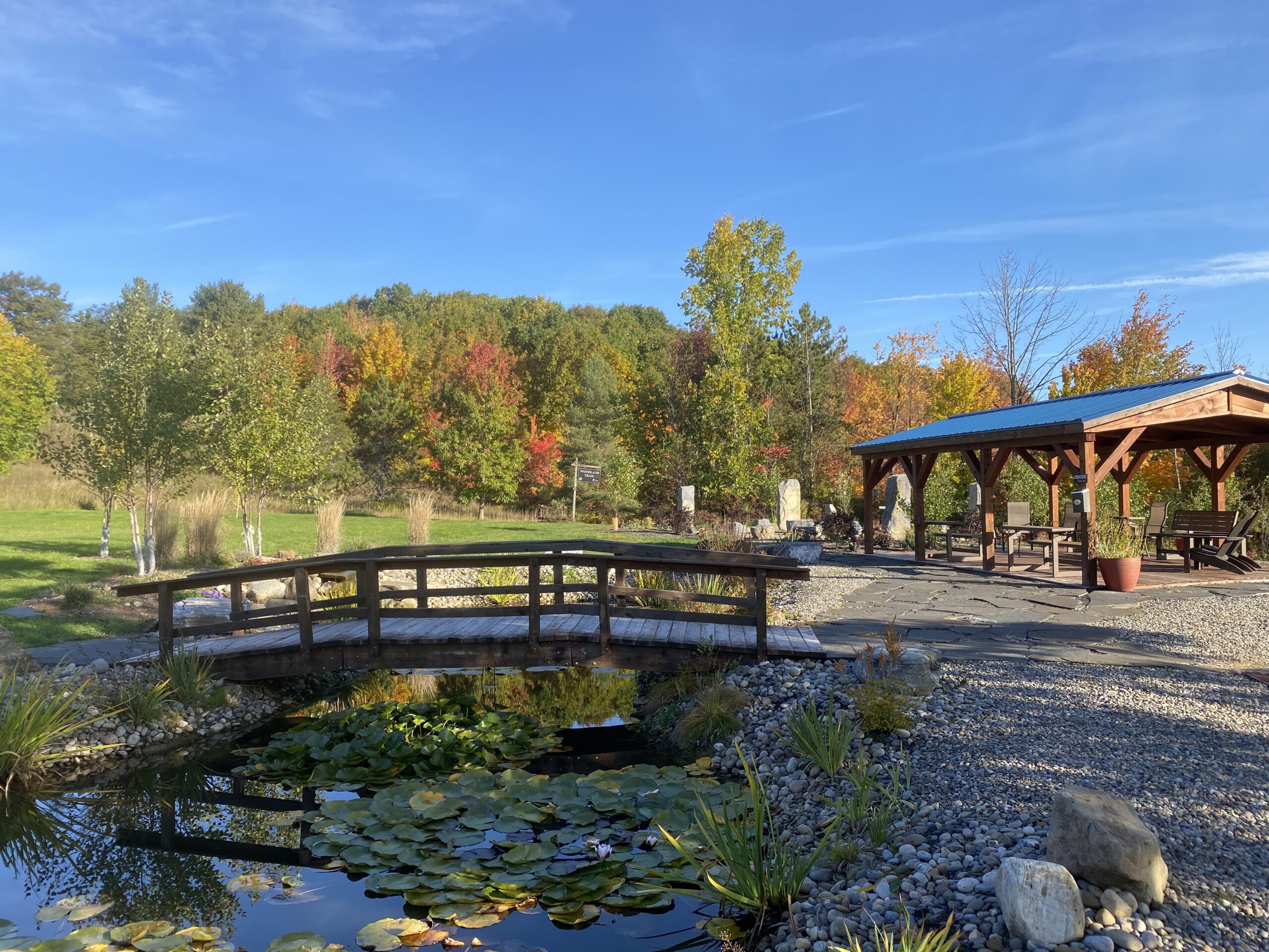 Landis Arboretum Fall