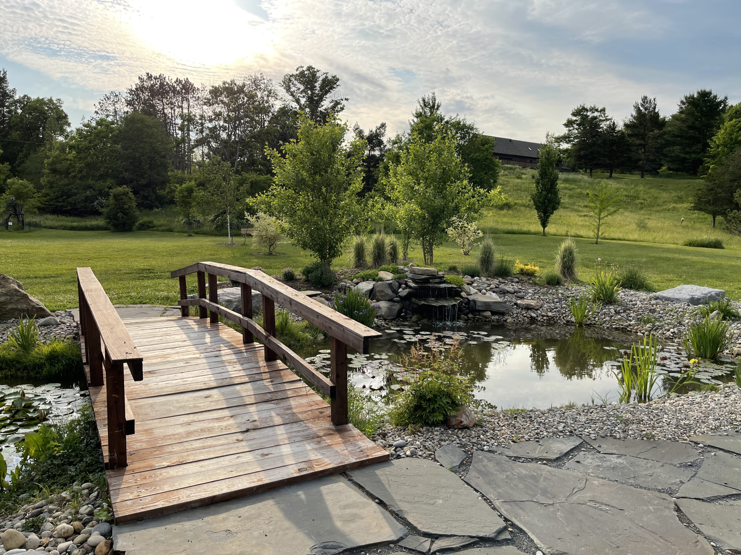 Landis Arboretum Summer