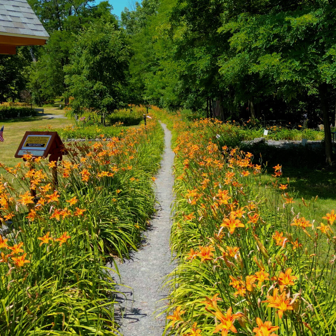 2022 Summer_SchoCo_Park_FlowerPath1 2022 Summer_SchoCo_Park_FlowerPath1